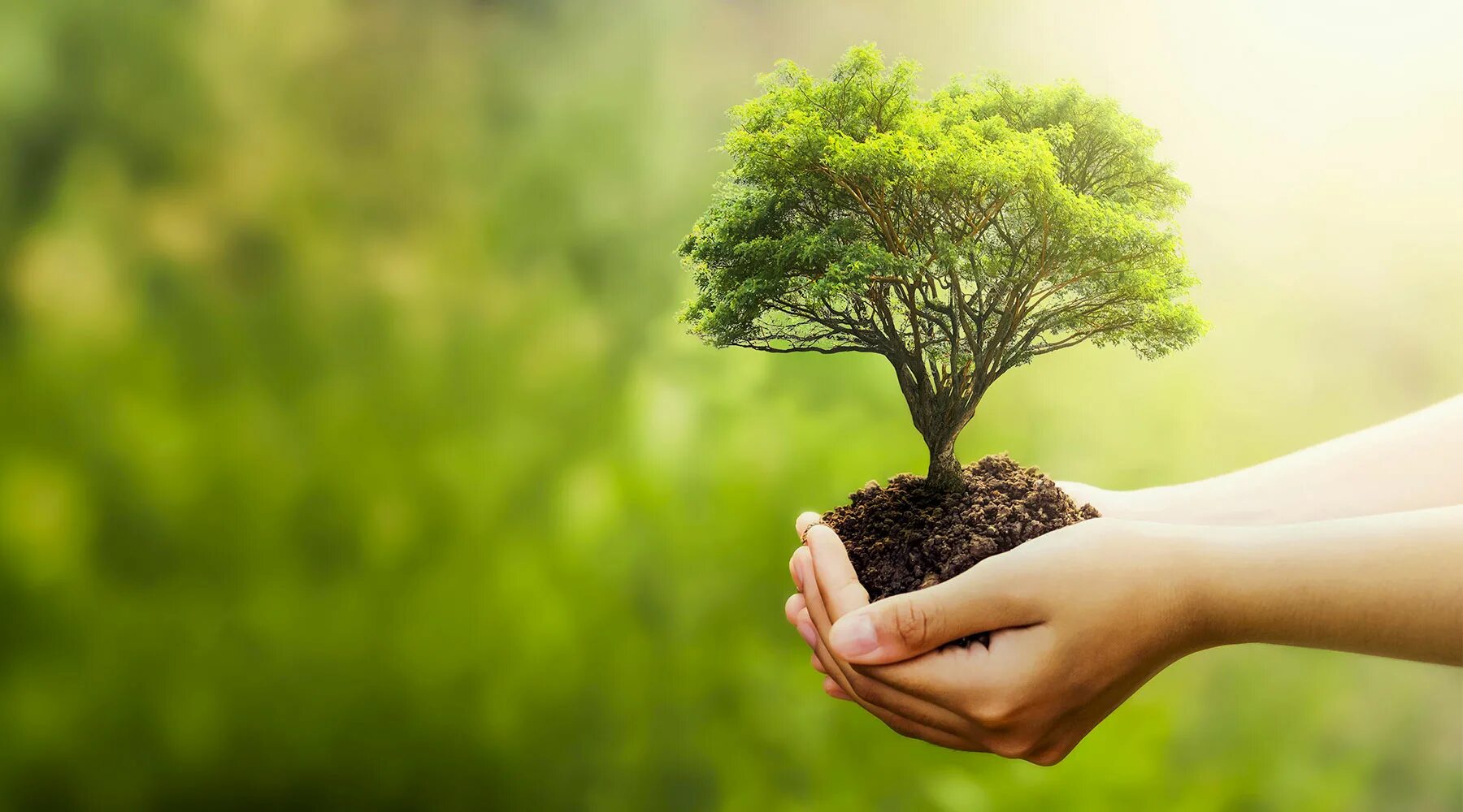 All people are response for the environment