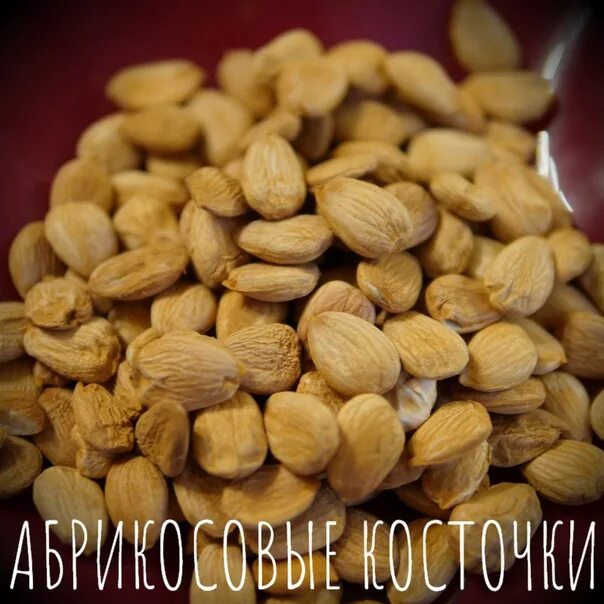 Миндаль и абрикосовая косточка. Миндаль и абрикосовая косточка. Орех абрикоса и миндаль. Миндаль и абрикосовая косточка. Отличить миндаль от абрикосовой косточки.