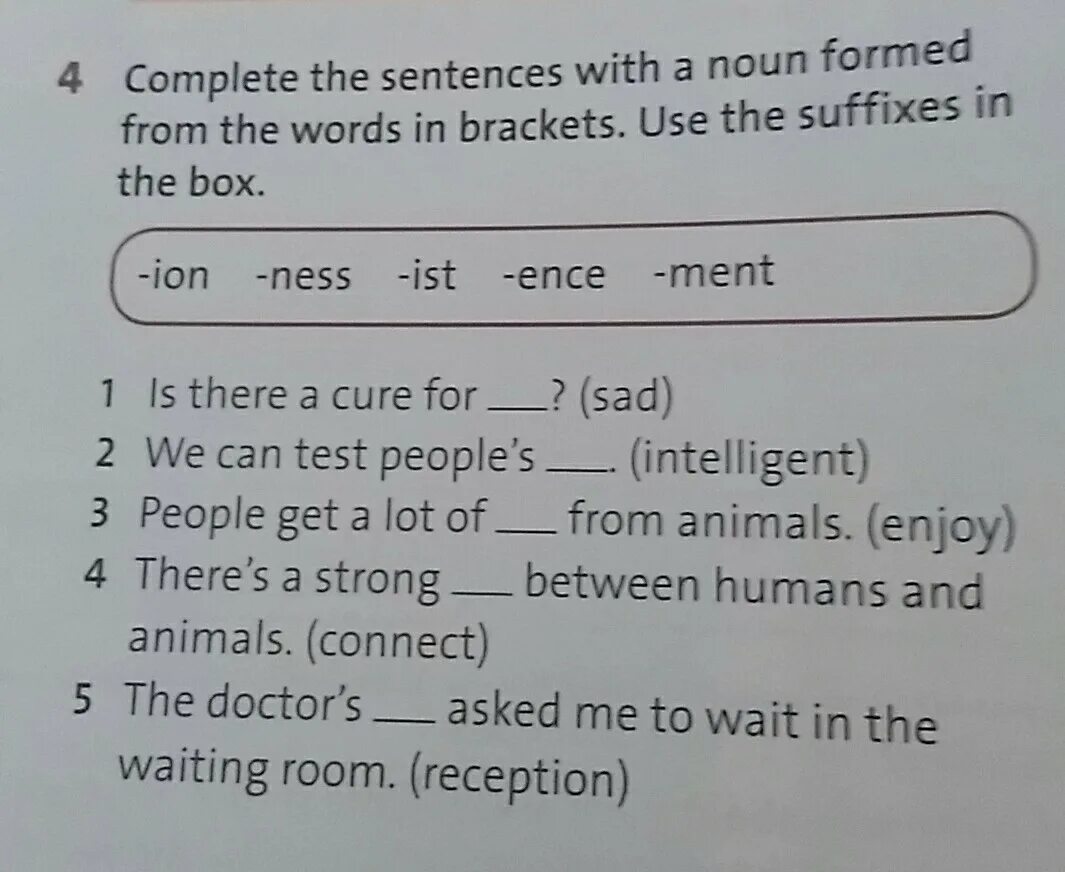 Complete the sentences use the new. Complete the sentences with the. Complete the sentences ответы. Complete the sentences with the correct Word. Complete the sentences with the Words below ответы.