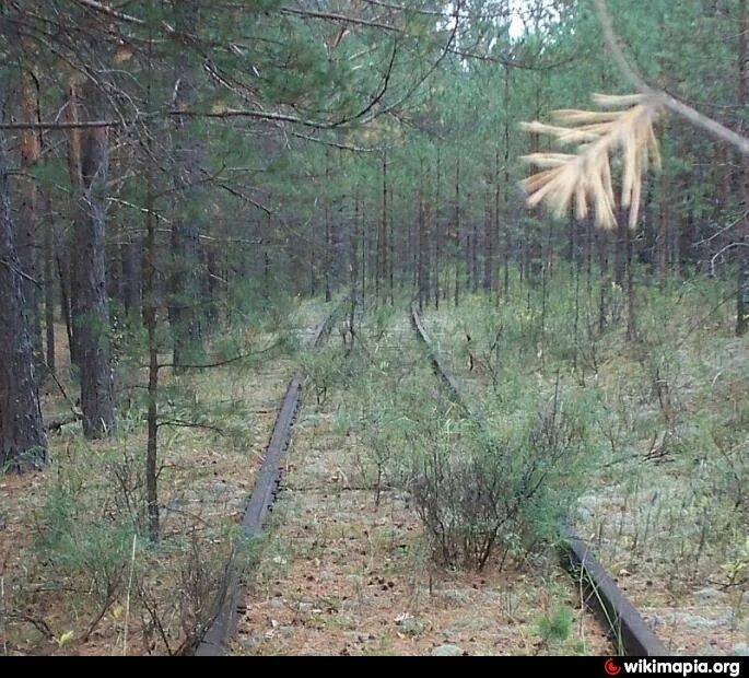 Застряли между сосен песня