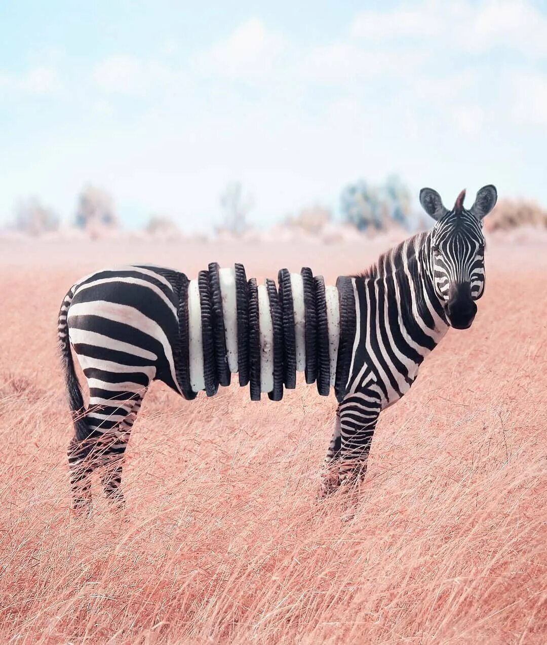 Старшеклассники из американских фильмов. Классные создания. Мексиканский глазопух. Крутые собаки. Прекрасные создания (beautiful creatures) 2013.