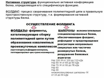 Нативный белок