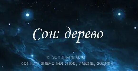 Сон вишня. Драконовое дерево канарские острова. Что означает дерево во сне приснилось. Что означает видеть во сне дерево. Видеть во сне березовые ветки.
