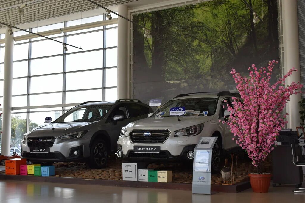 рк на автомобили автосалон. автосупермаркет allseasons лнр. автосалон костанай казахстан. автосалон костанай. костанай дилер.