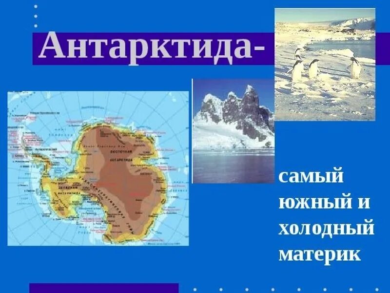 Антарктида (материк). Проект про материк Антарктида. Антарктида самый. Самый Южный и холодный материк.