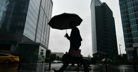 Москва 24 дождь