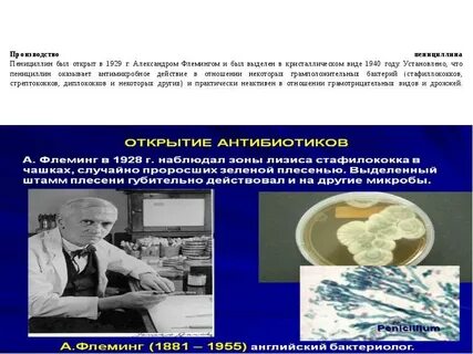 Научное открытие пенициллин