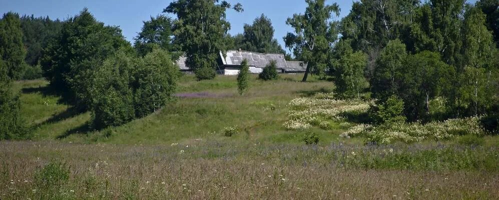 Семеновское лапотное островское. Деревня игодово костромская область. Деревня ломки костромской области островский район. Деревня клеванцово островского района. Деревня юрьевское тверская область.