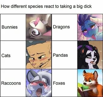 I am told you want more furry memes.
