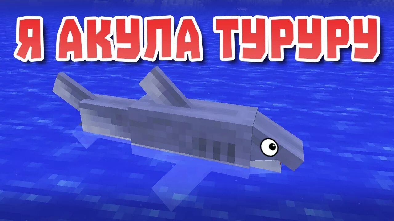 Туту туруру туту туруру. Я акула туруру. Валера туруру. Я акула туруру песня. Акуленыш туруруруру.