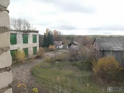 Лужковский спиртзавод тульская область