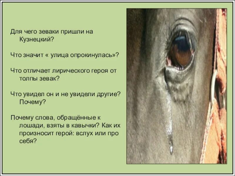 Для чего зеваки пришли на Кузнецкий. Стихотворение хорошее отношение к лошадям. Хорошее отношение к лошадям Маяковский. Что значит улица опрокинулась. О чем произведение хорошее отношение к лошадям