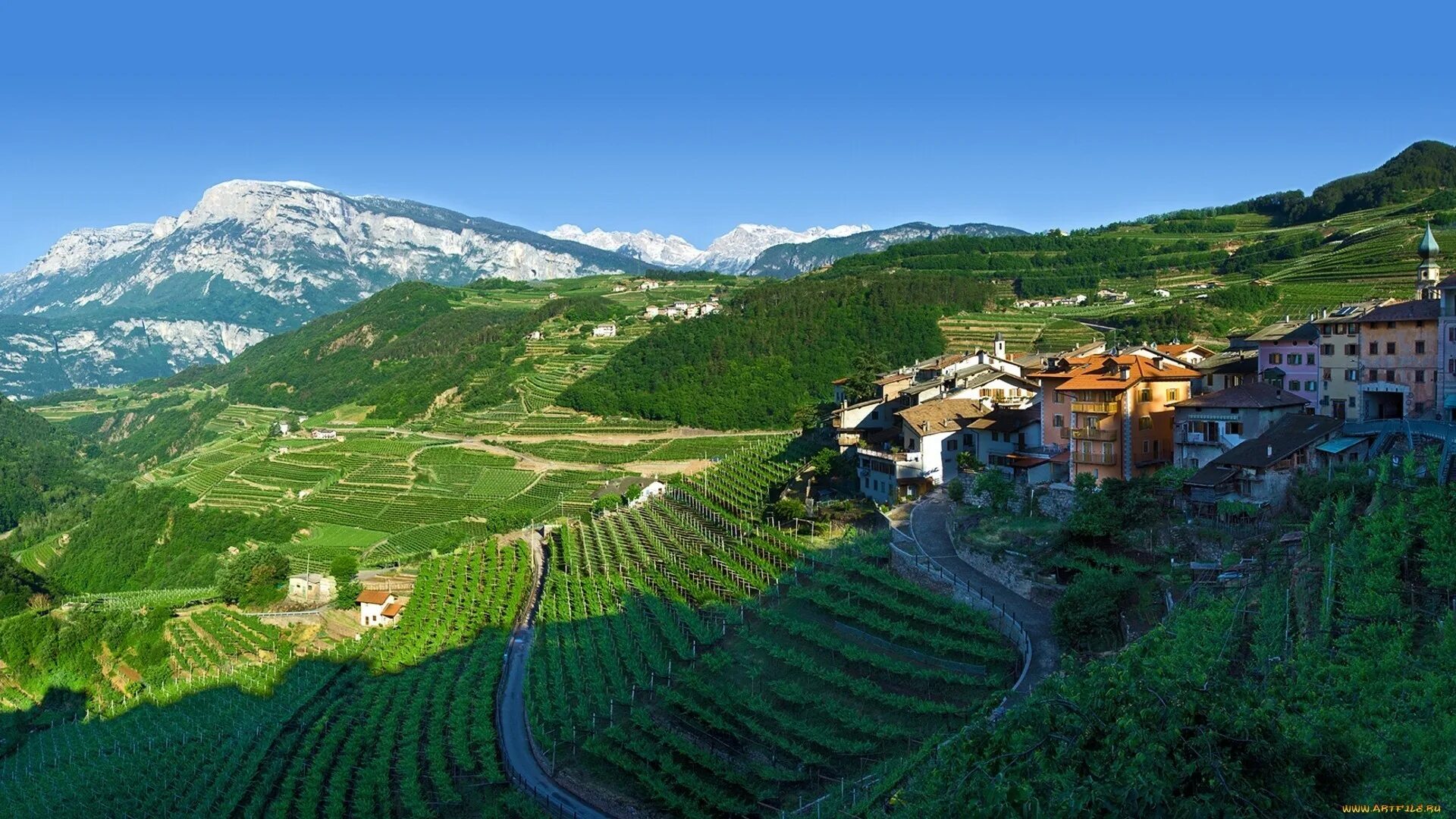 Трентино Альто-Адидже виноградники. Трентино Италия. Трентино горы. Тоскана Италия. Hills village