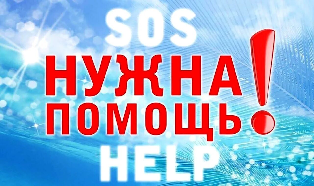 Просим помочь. Нужна помощь. Нужна ваша помощь. Прошу помощи. Требуется помощь.