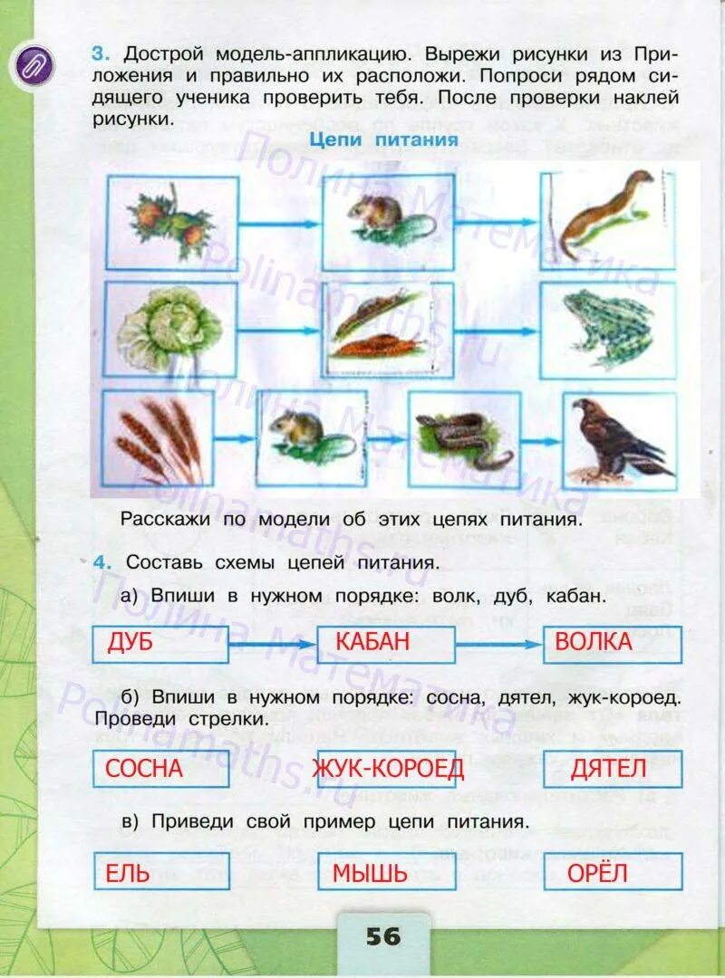 Окружающий тетрадь 3 класс. Окружающий мир 3 класс рабочая тетрадь 1 часть страница 56 Плешаков. Рабочая тетрадь по окружающему миру 3 класс 1 часть Плешаков по ФГОС. Окружающий мир 3 класс рабочая тетрадь Плешаков стр 56. Рабочая тетрадь по окружающему миру 3 класс Плешаков ФГОС часть 1.