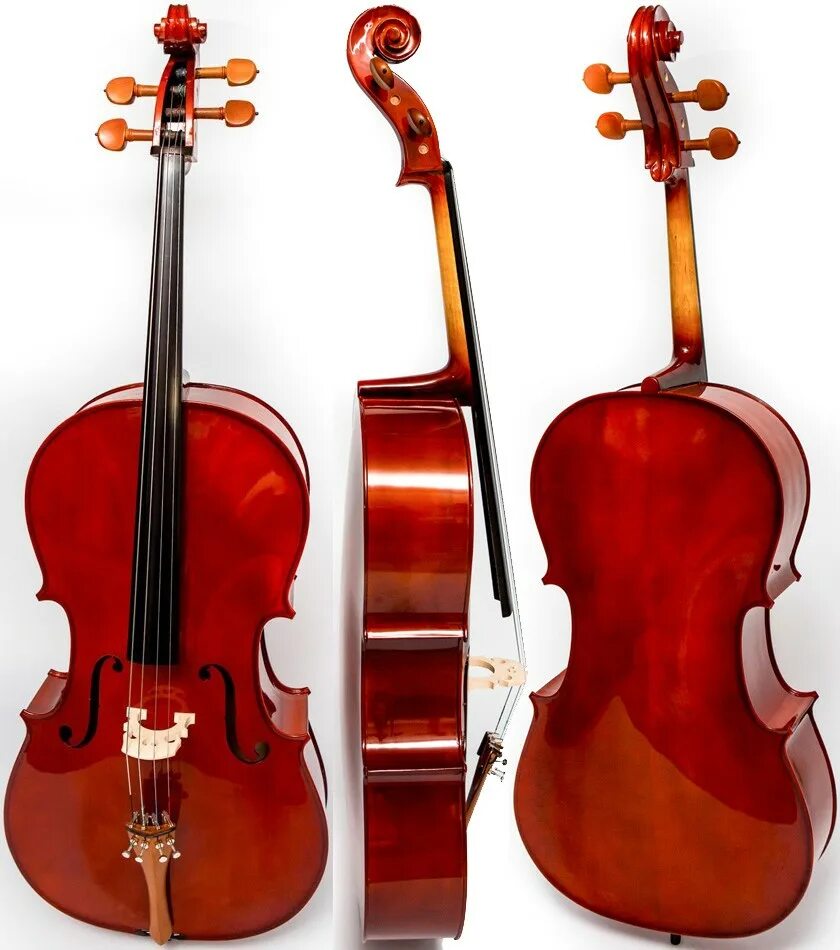 Виолончель 3. Виолончель купить в москве бу недорого. Виолончель hora c100-4/4. Caraya mc760r-4/4. Скрипка 3д модель.