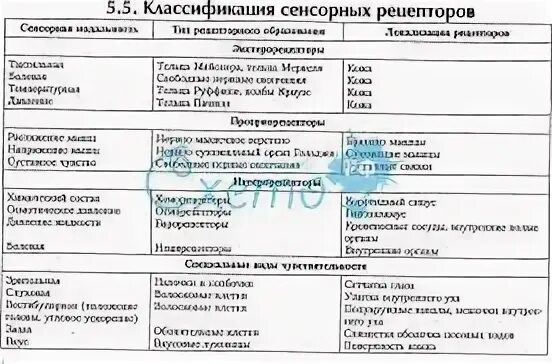 Рецепторы органов сенсорной системы
