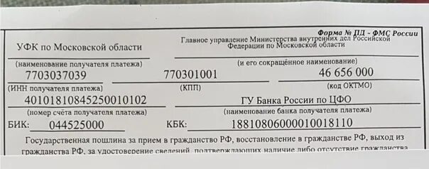 Госпошлина за гражданство. Квитанция об оплате госпошлины РВП. Реквизиты госпошлины на гражданство РФ. Квитанция об оплате госпошлины на ВНЖ. Госпошлина 333.33