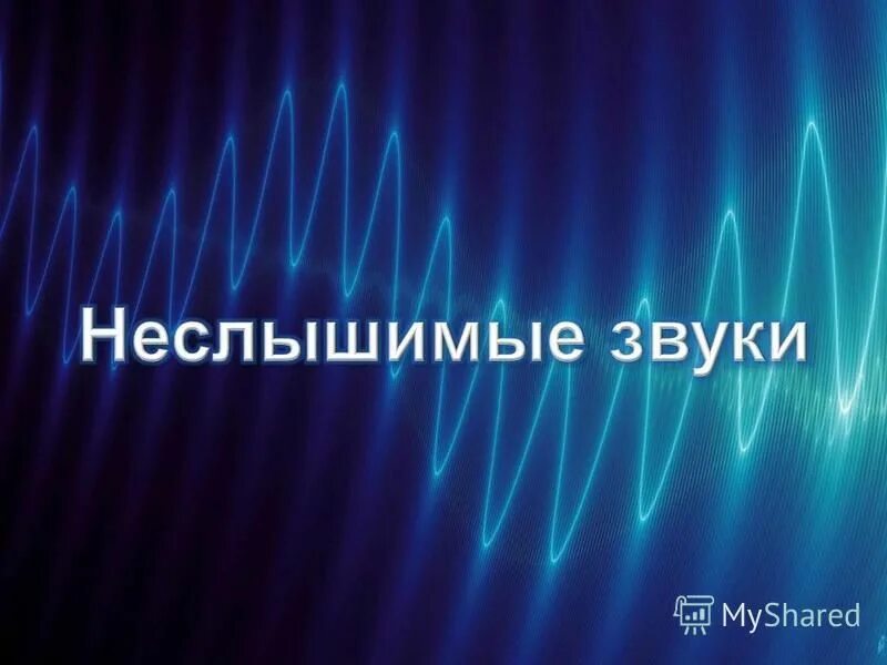 Неслышимый. Неслышимые звуки физика презентация. Неслышимые звуки для человека. Ультразвук. Ультразвуковые волны.
