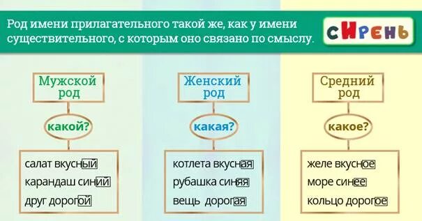 Род имен прилагательных. Род имён прилагательных 4 класс таблица. Конспект урока 5 класс род имен существительных. Род и число имен прилагательных 3 класс карточки.