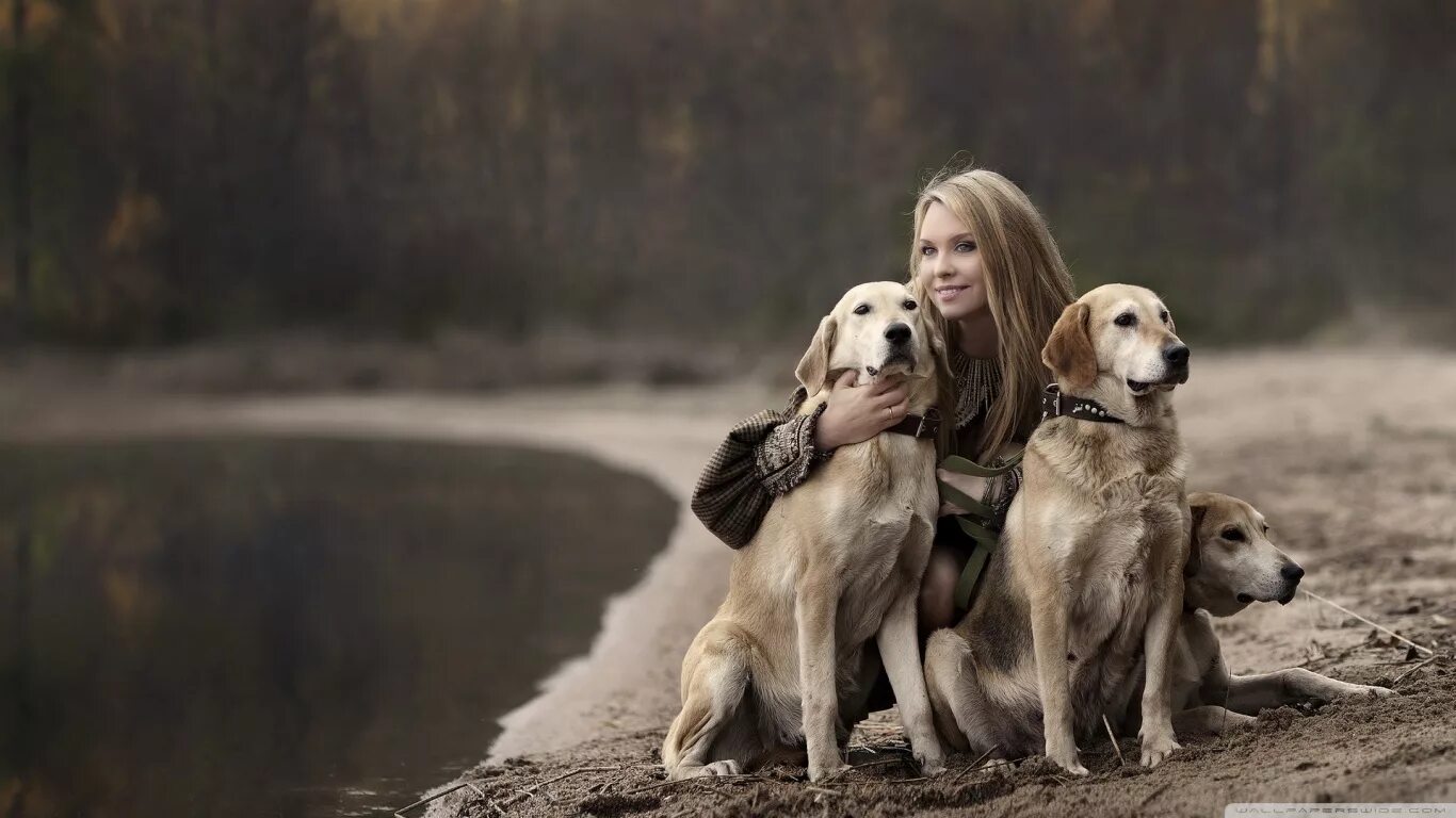 Woman with animals. Лабрадор ретривер золотистый. Ретривер салюки. Лабрадор ретривер девочка. Девушка с собакой.