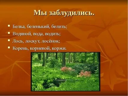Корень в слове белок