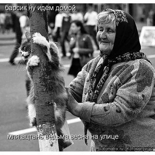 Старая дура