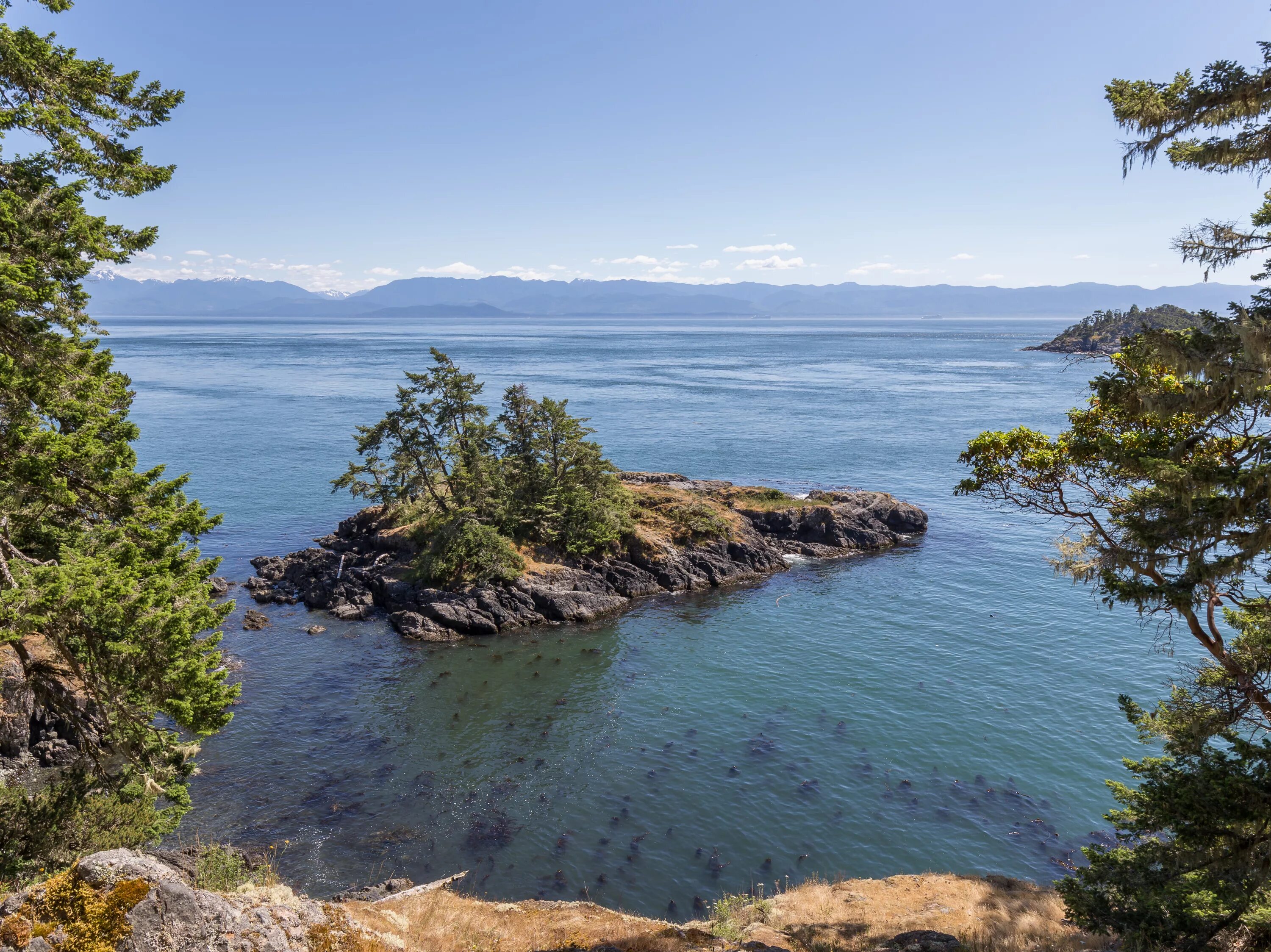 Литтон (Британская Колумбия). Coast of British Columbia. University of British Columbia Canada. An island off the coast