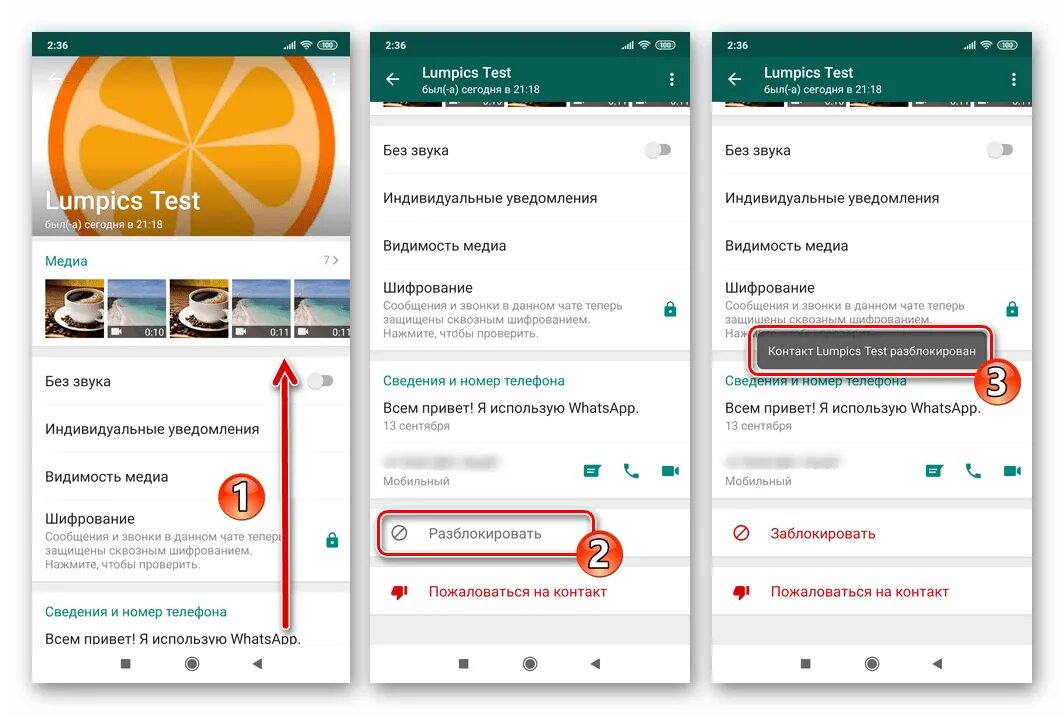 Как разблокировать в ватсапе. Как разблокировать контакт в ватсапе. Блокировка контакта в WHATSAPP. Заблокированные контакты в ватсап.