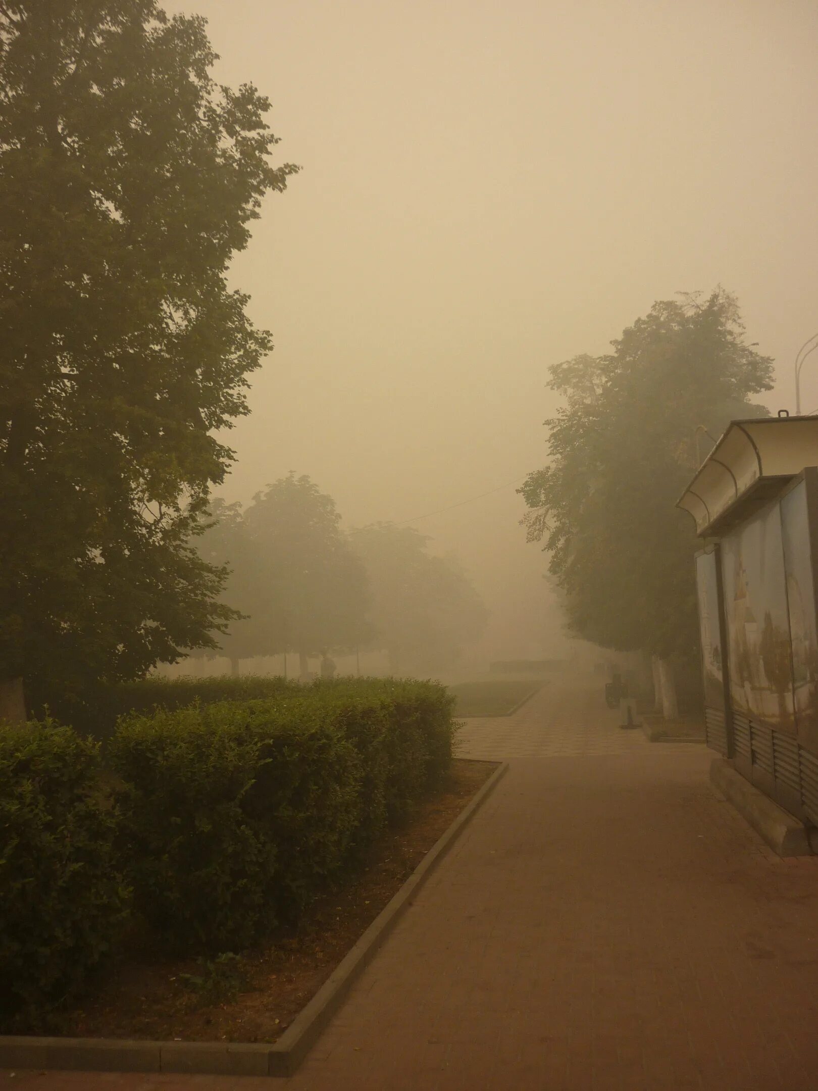 Лето 2010 года. Рязань 2010 год лето. Лето 2010 фото. Лето в России Эстетика в городе. Лето 2010 россия