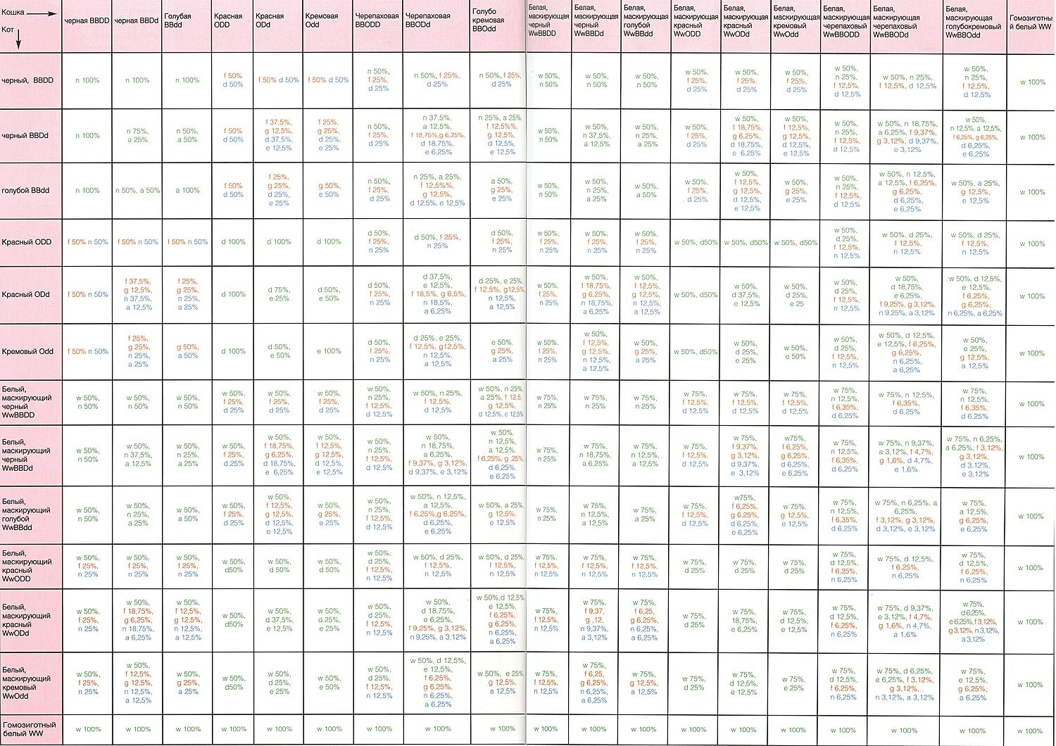 наследование окраса у кошек. окрасы кошек мейн кун таблица. генетика кошачьих окрасов. генетические формулы окрасов кошек. генетика окрасов кошек.