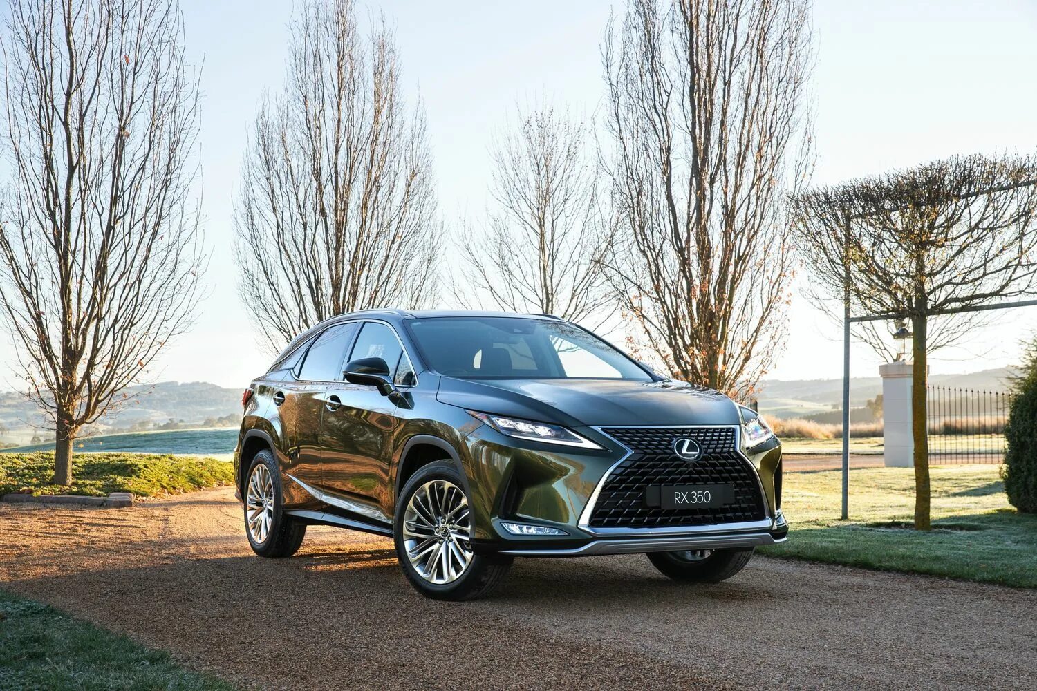 Lexus rx300 2020. Лексус rx300 новый. Лексус РХ 300 2020. Лексус РХ 350 новый.