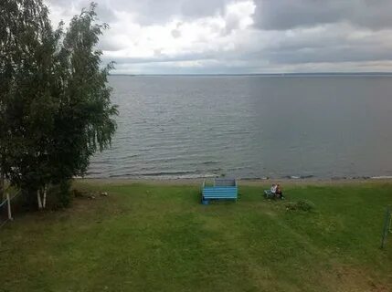 Майами увильды