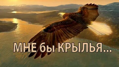 Кавер были бы крылья