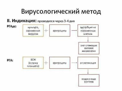 Вирусологический метод исследования его этапы