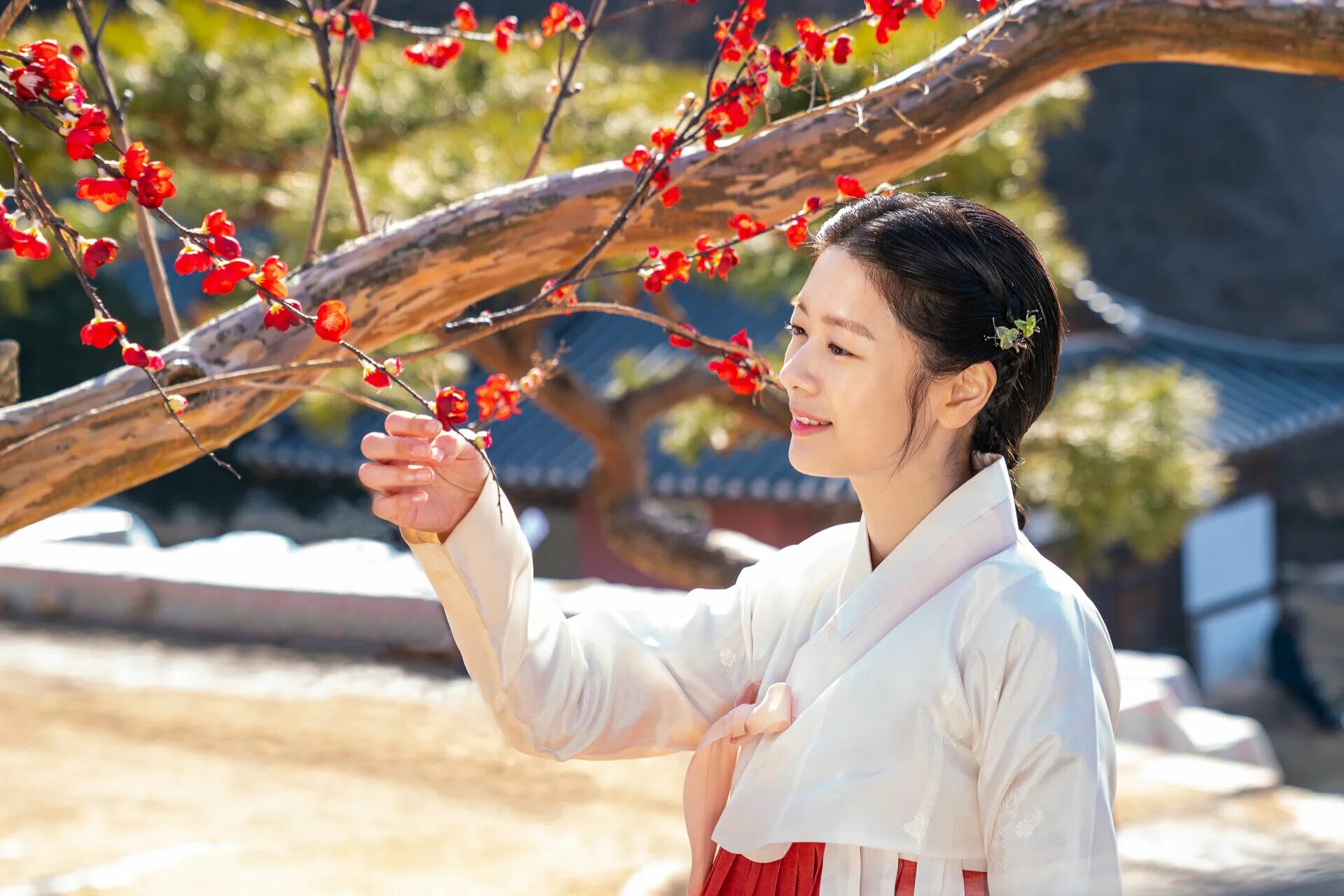 корейский 2019