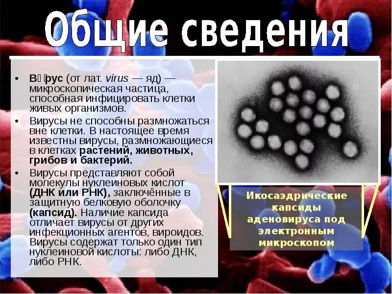 Вирус является живым организмом. На что способны вирусы. Что не способны вирусы. Вирусы способны размножаться. Вирусы способны размножаться вне клетки.