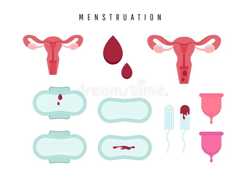 Менструация значок для приложения. Матка в менструации макет. Менструальная гигиена иконка вектор.