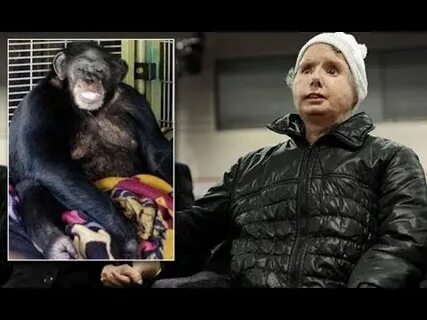 Убивал шимпанзе