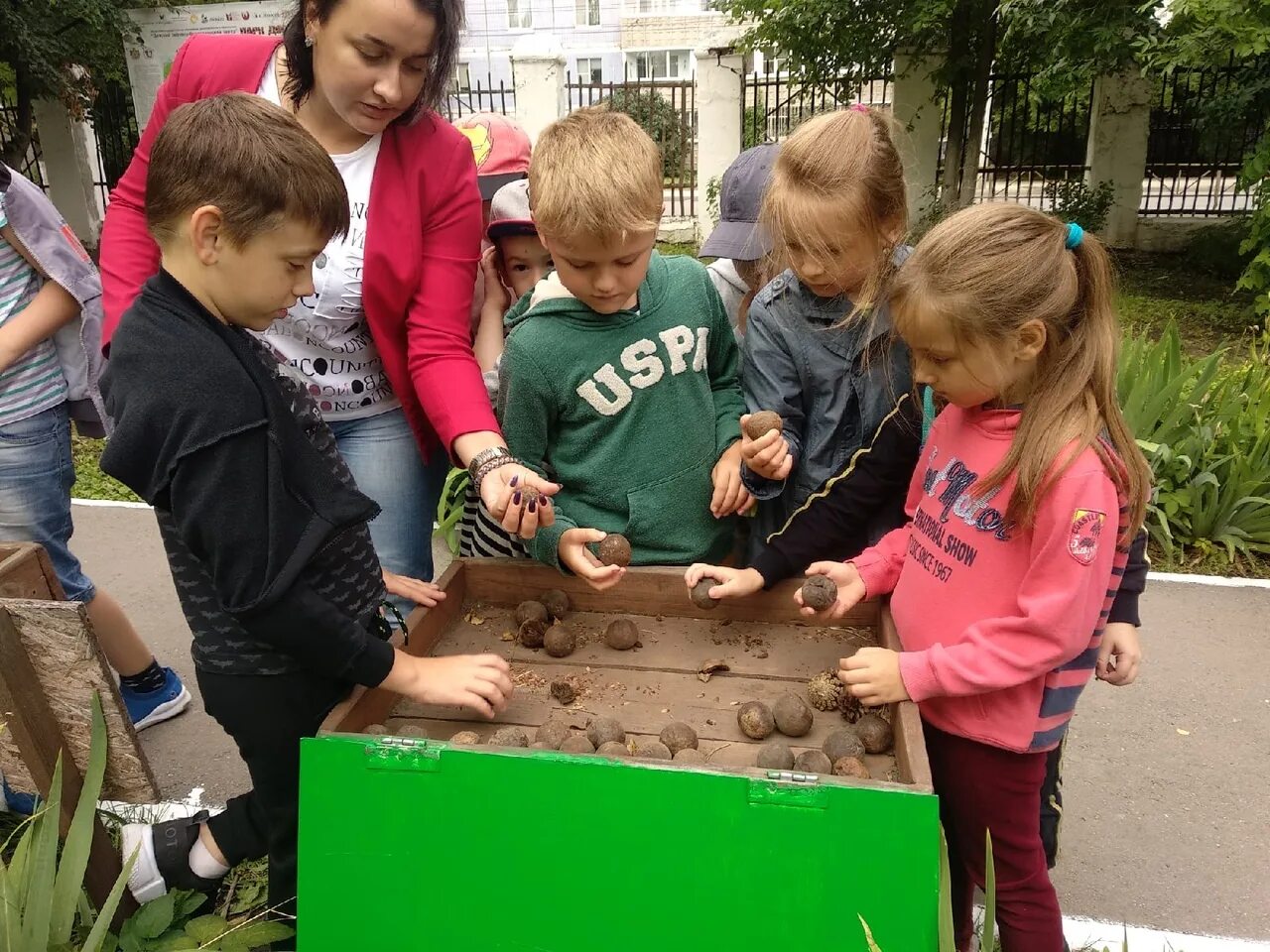 уголок природы в доу. центры эколог. эколого-просветительский центр цветоводство москвы. экоцентр дом казань горкинско. экологический центр логотип.