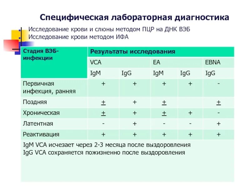 Вэб иммуноглобулины. Лабораторная диагностика вируса Эпштейна-Барра. Эпштейна-Барра вирусная инфекция что это. Вирус Эпштейна-Барр диагностика. Вирус Эпштейна-Барр лабораторная диагностика.