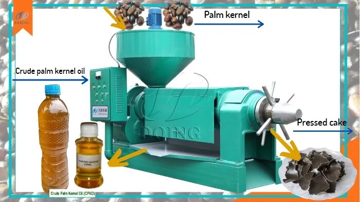 Kernel machines. Экспеллер схематично. Palm Kernel Oil. Экспеллер картинки. Маслопресс экспеллер фирма Андерсон.