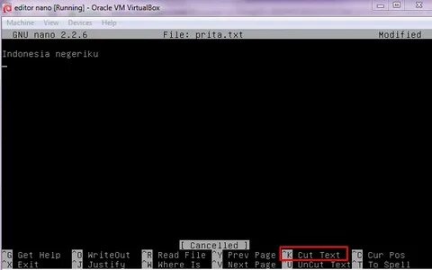 Nano linux