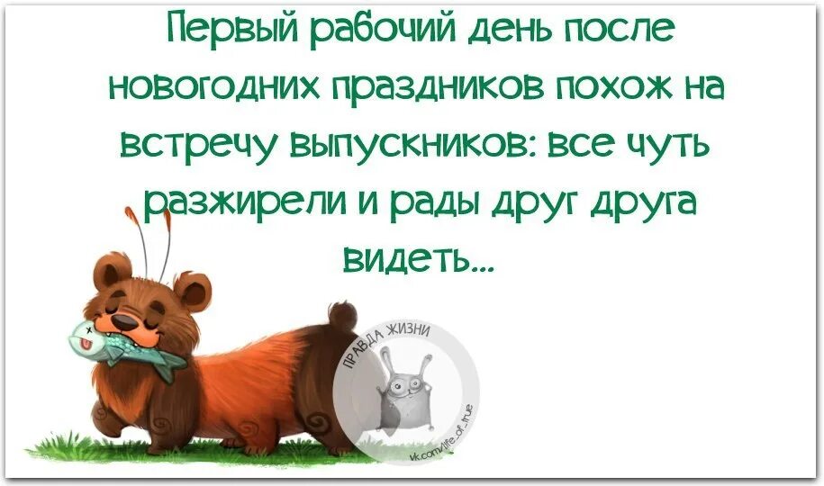 Статусы после нового. Первый рабочий день в году. Рабочий день после нового года. С первым рабочим днем. Первый день на работе после праздников.