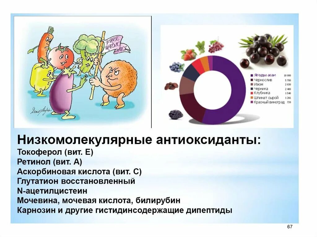 Антиоксиданты перекисное окисление липидов. Вещества антиоксиданты. Антиоксиданты химическая структура. Механизм действия антиоксидантов на свободные радикалы. Жиры и жироподобные вещества.