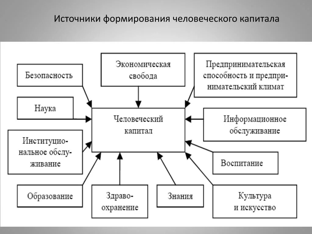 Программа человеческий капитал. Стадии формирования человеческого капитала. Теория человеческого капитала схема. Схема составляющие человеческого капитала. Факторы формирования и развития человеческого капитала.