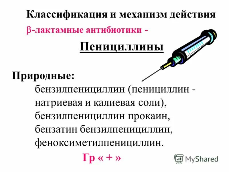 Механизм действия антибиотиков пенициллинового ряда. Механизм действия пенициллинов фармакология. Препараты пенициллина механизм действия. Бензилпенициллин механизм действия фармакология. Пенициллины действуют