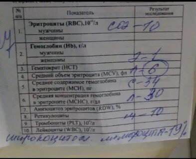 Мононуклеоз анализ