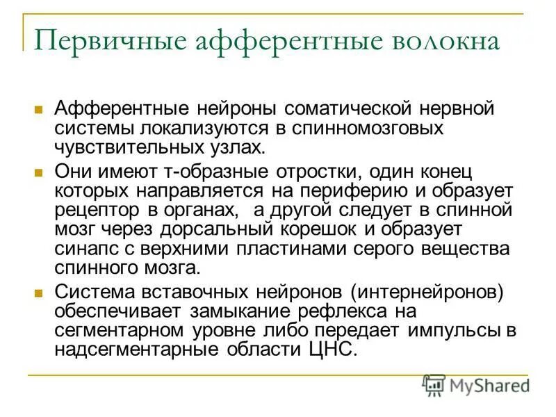 Афферентная и эфферентная иннервация. Афферентные нервы это. Периферическая нервная система афферентная и эфферентная. Афферентные нервы это. Афферентные и эфферентные пути схема.