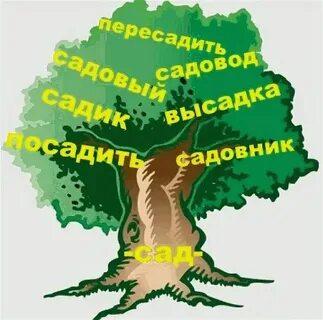 Русский язык 2 класс дерева